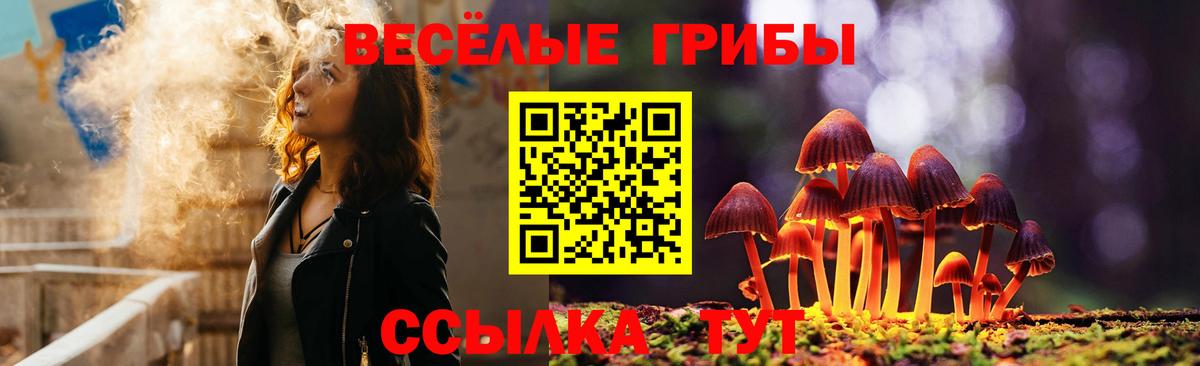 Волгоград  Галлюциногенные грибы Magic Shrooms  Вход с VPN 